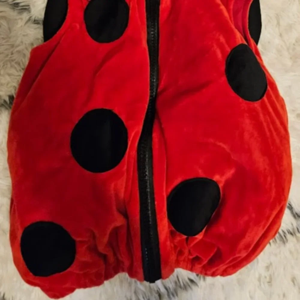 Baby Ladybug Costume with Wings 12m - Picture 3 of 6